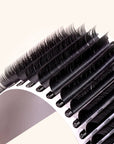 Volume Chelsea Lashes 0.07 - C curl - BYŪTI